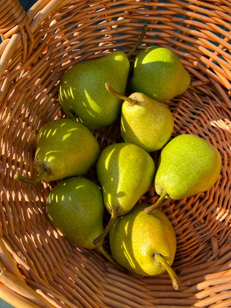 Green Pears
