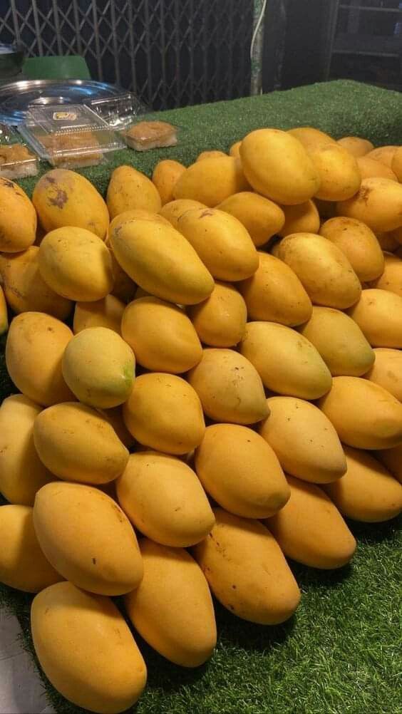 Mango